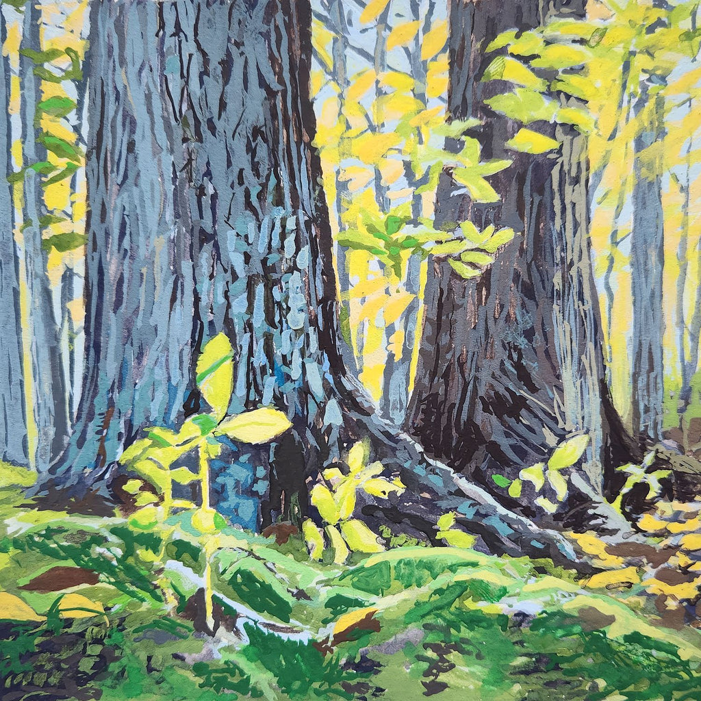 October Light 