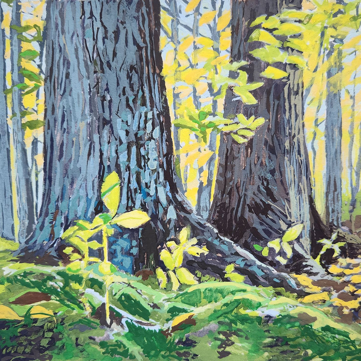 October Light 