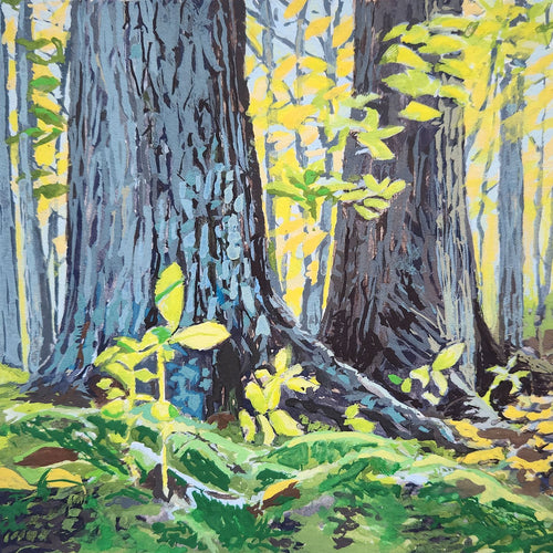 October Light 