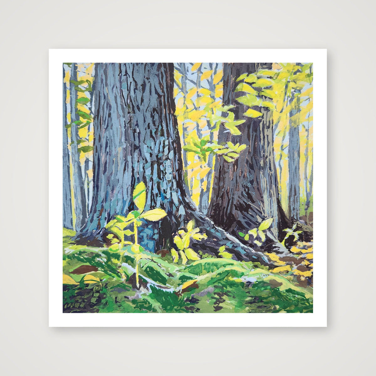 October Light  — 16×16" Print only