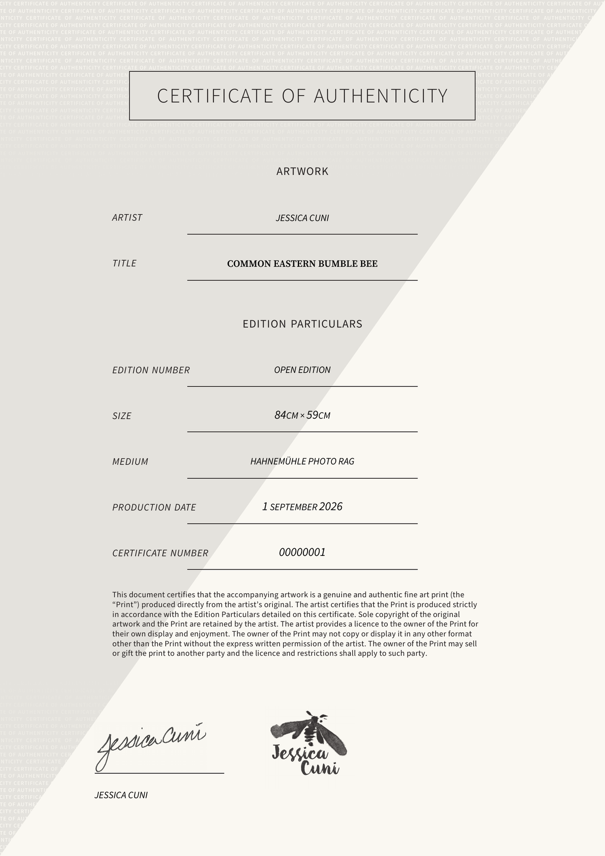Common Eastern Bumble Bee — Certificate of Authenticity