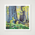 October Light  — 12×12" Print only