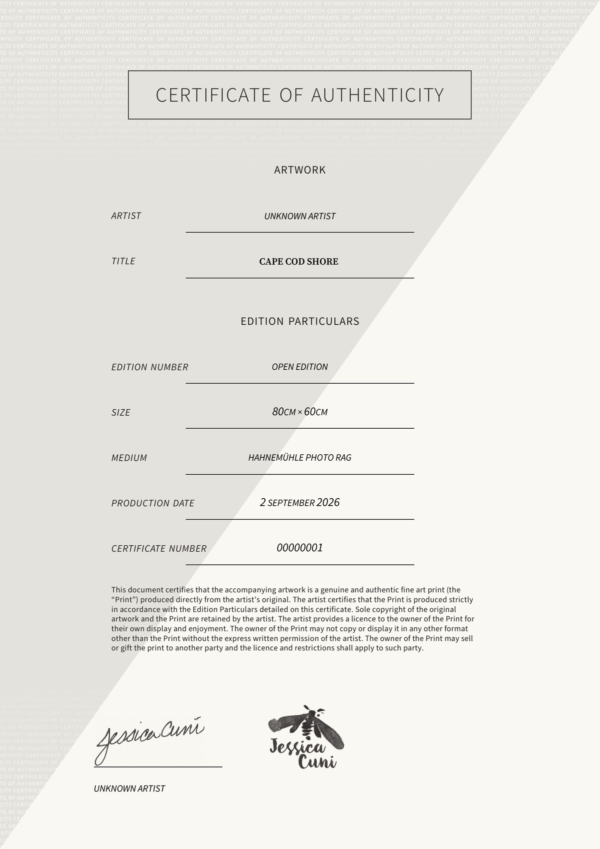 Cape Cod Shore  — Certificate of Authenticity