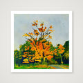 Mighty Maple — 30×30cm, 12×12" Print only