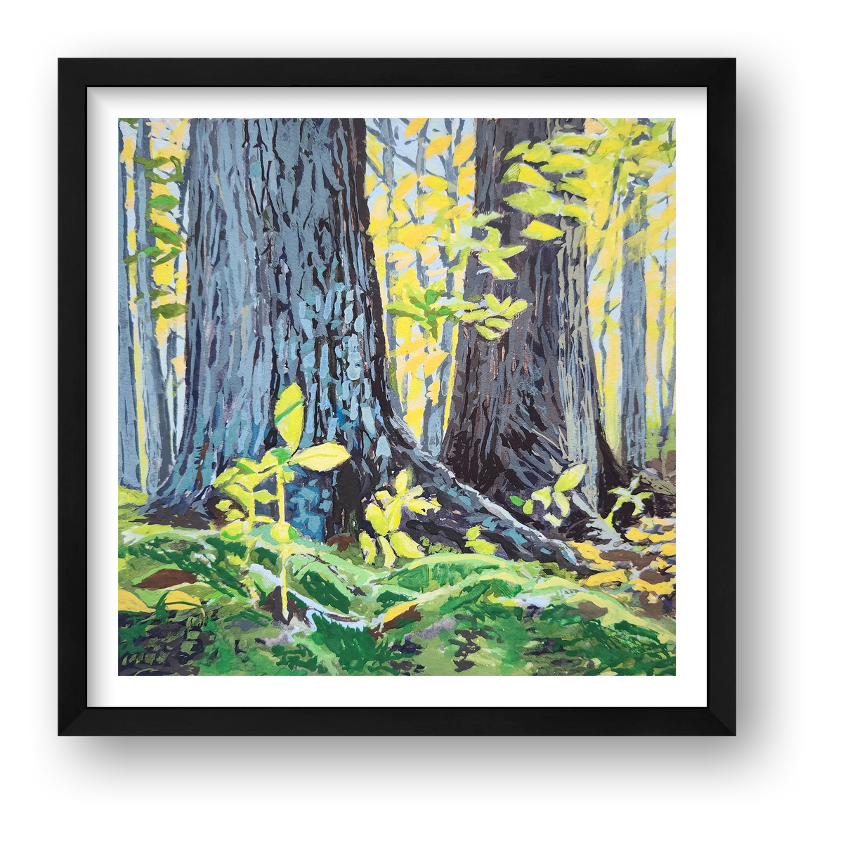 October Light  — framed